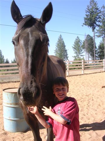 endurance-riding endurance-riding