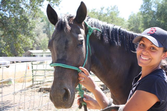 endurance-riding endurance-riding