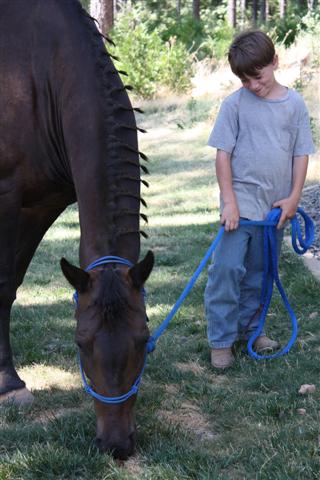 endurance-riding