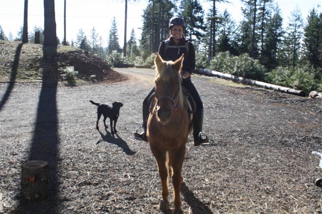endurance-riding endurance-riding