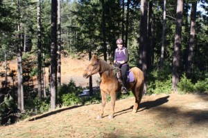 endurance-riding endurance-riding