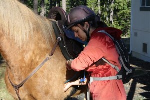 endurance-riding