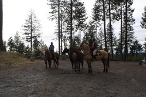 endurance-riding