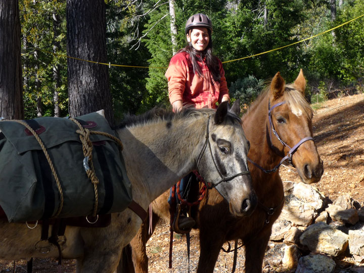 endurance-riding endurance-riding