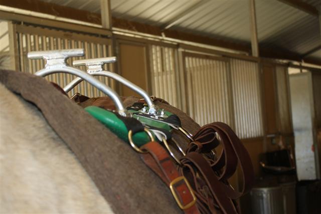 endurance-riding endurance-riding