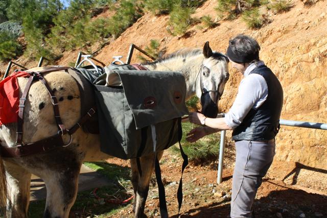 endurance-riding endurance-riding