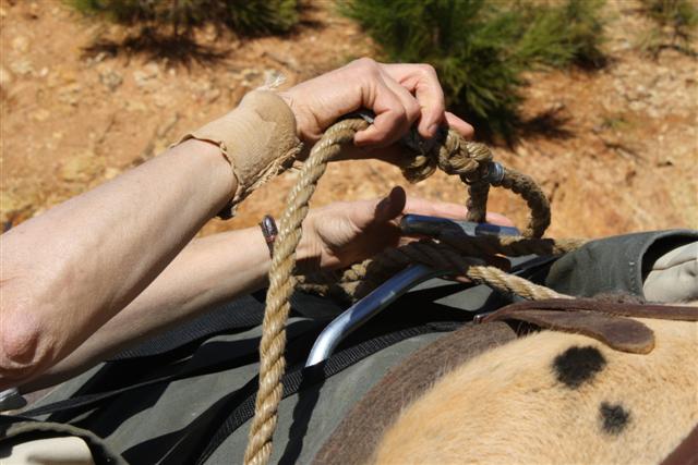 endurance-riding endurance-riding