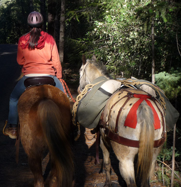 endurance-riding endurance-riding