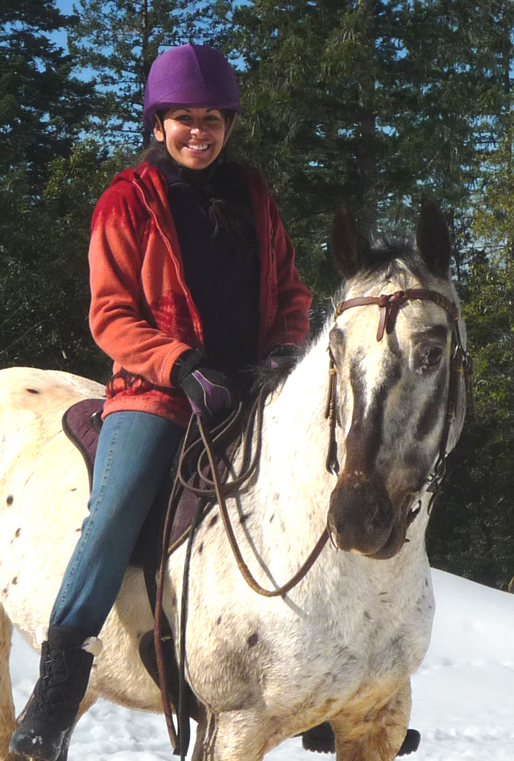 endurance-riding endurance-riding