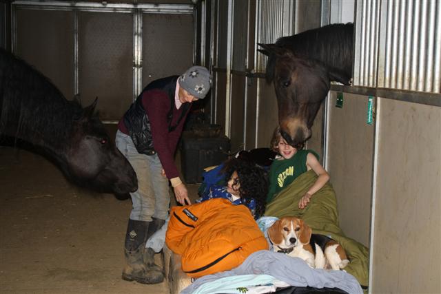 endurance-riding endurance-riding