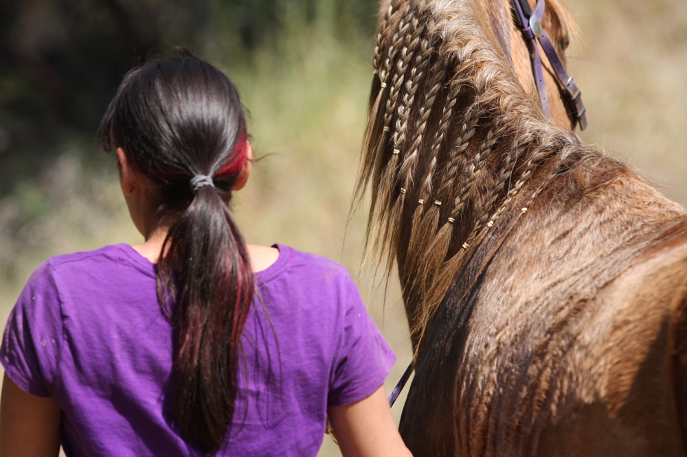 endurance-riding