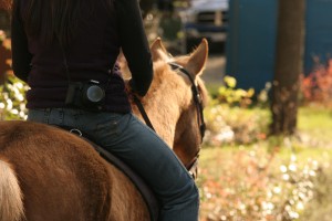 endurance riding