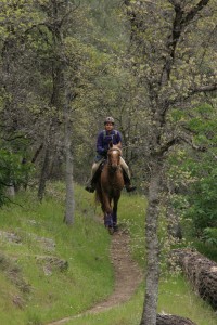 endurance riding