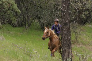 endurance riding