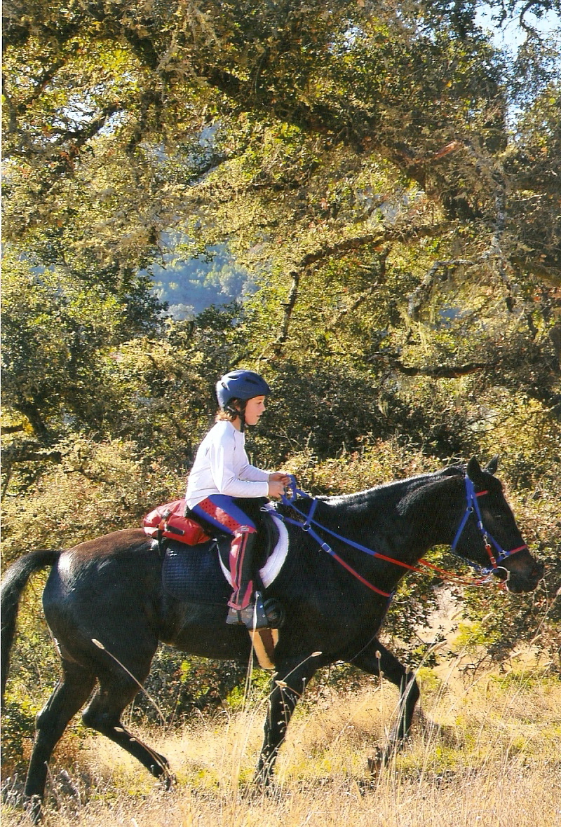 endurance riding