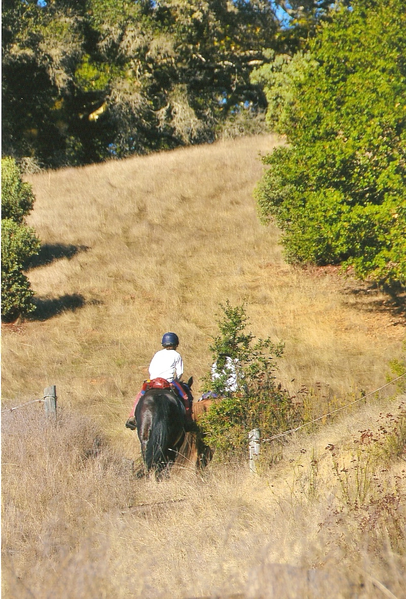 endurance riding