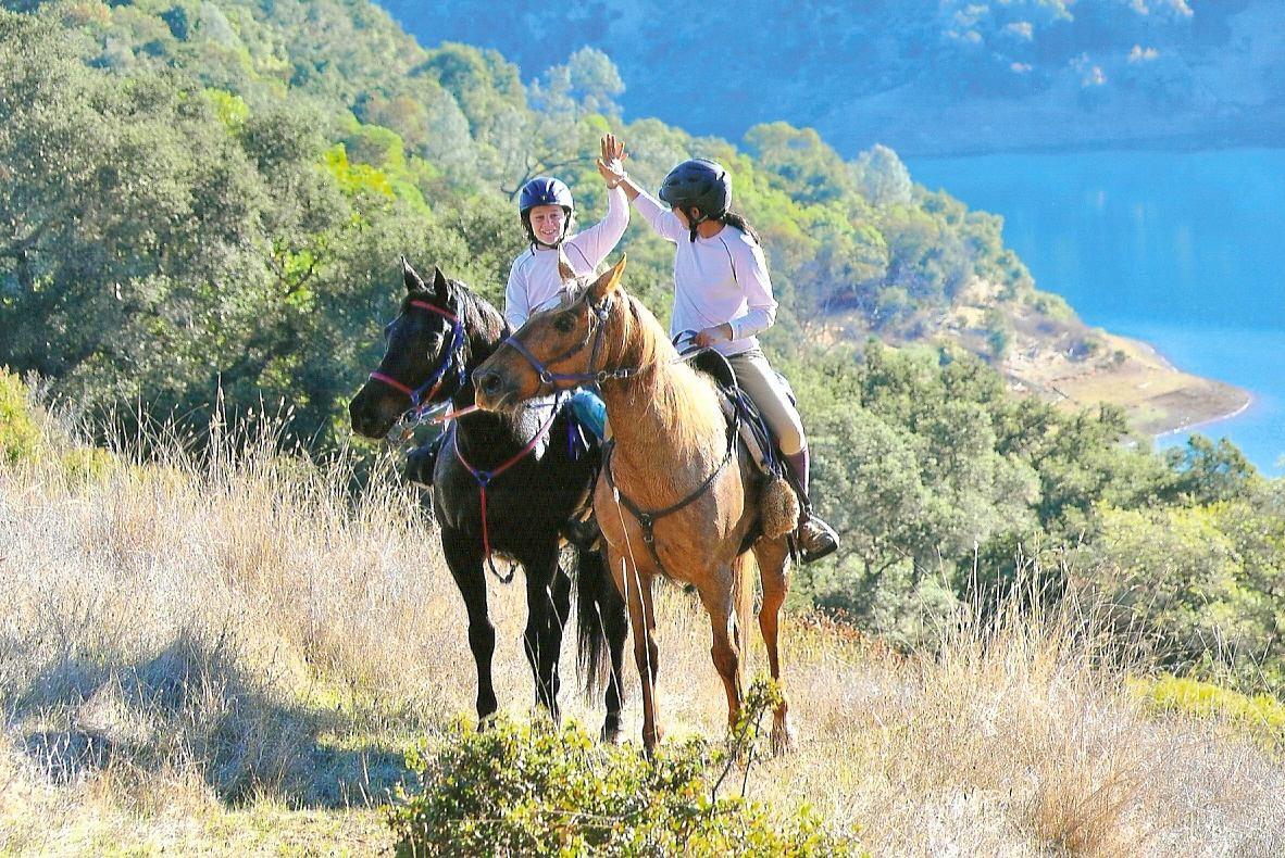endurance riding