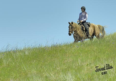 endurance-riding endurance-riding