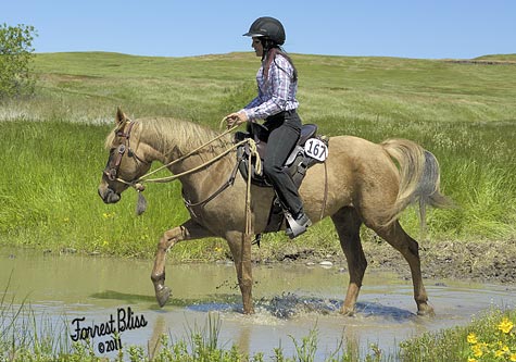 endurance-riding endurance-riding