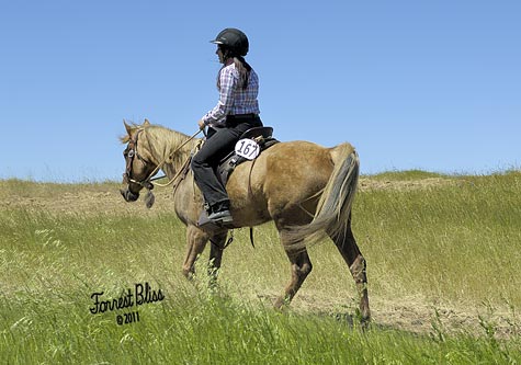 endurance-riding endurance-riding