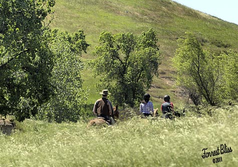 endurance-riding endurance-riding