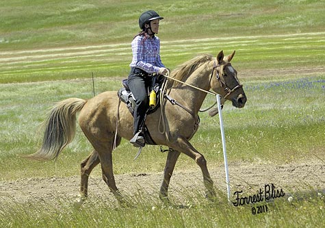 endurance-riding