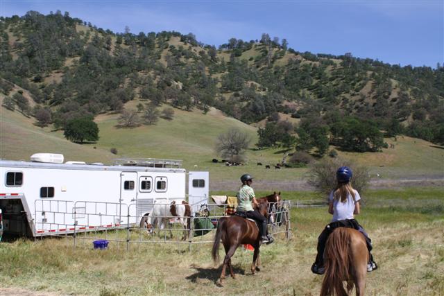 endurance-riding endurance-riding