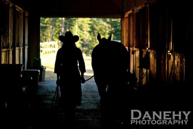 endurance-riding