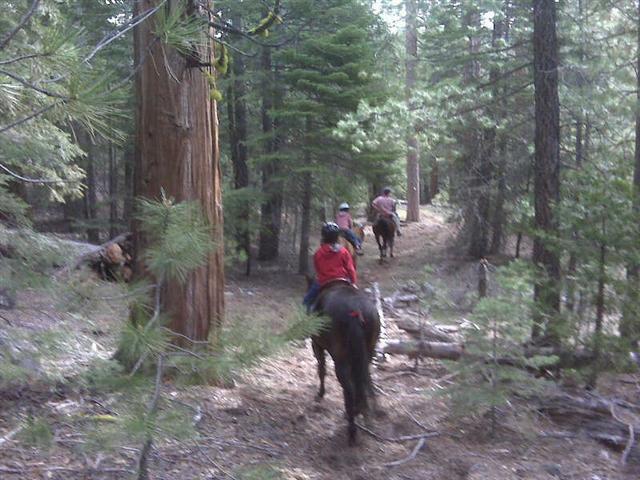 endurance-riding