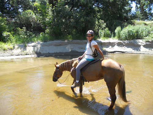 endurance-riding