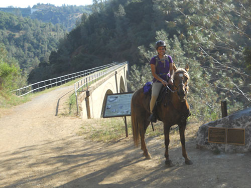 endurance-riding
