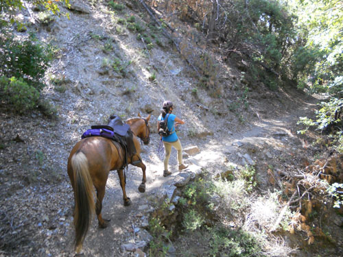 endurance-riding