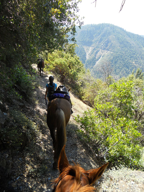 endurance-riding