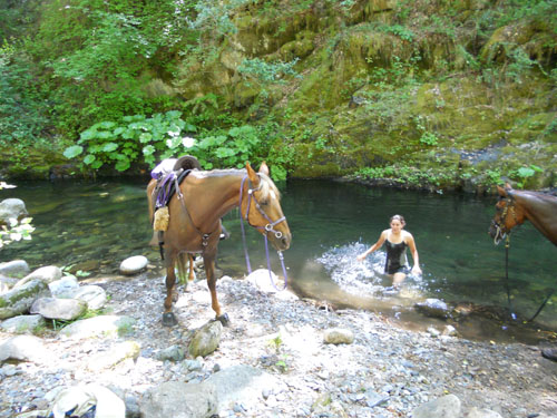 endurance-riding