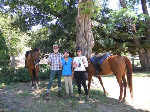 endurance-riding