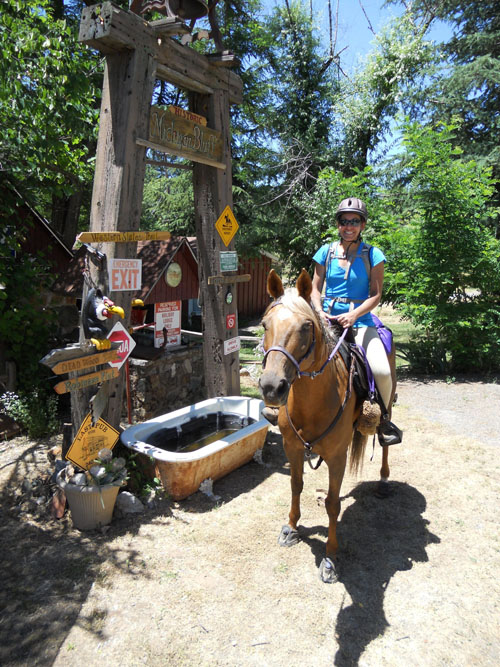 endurance-riding