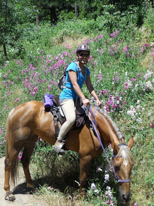 endurance-riding
