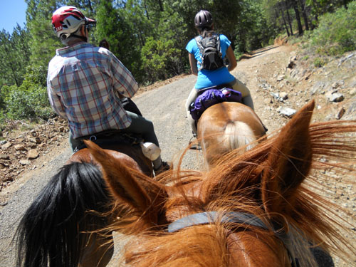 endurance-riding