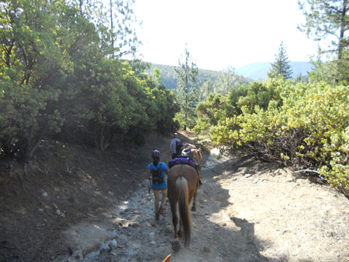 endurance-riding