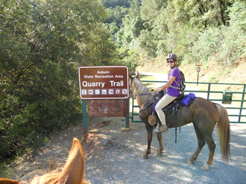 endurance-riding