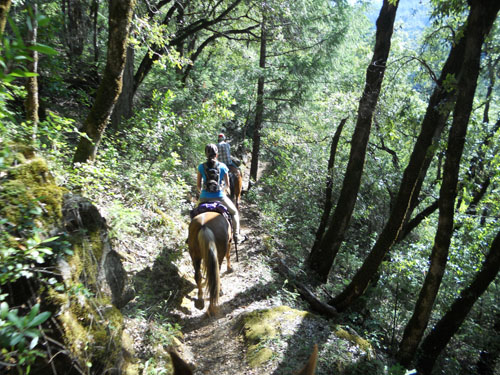 endurance-riding