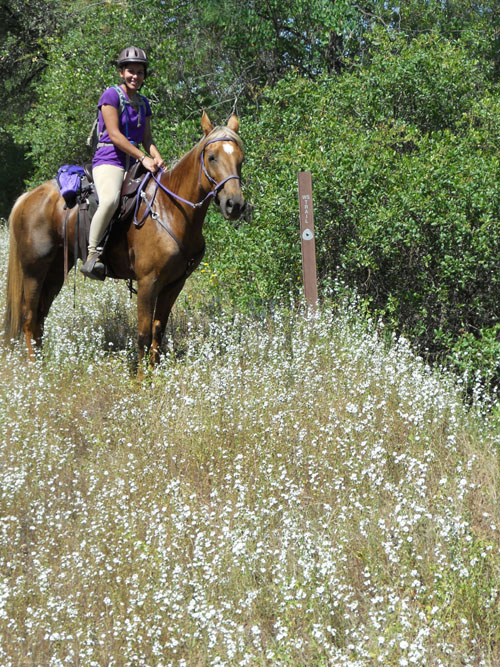 endurance-riding