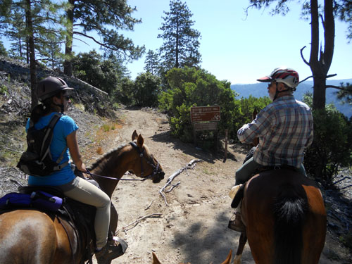 endurance-riding