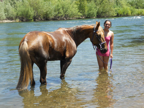 endurance-riding
