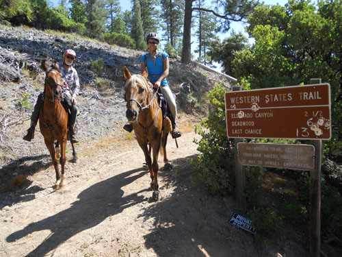 endurance-riding