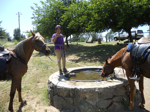 endurance-riding