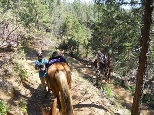 endurance-riding