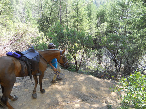 endurance-riding