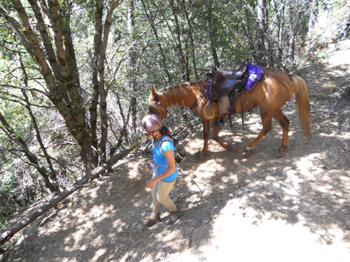 endurance-riding