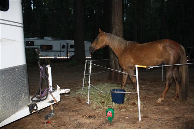 endurance-riding
